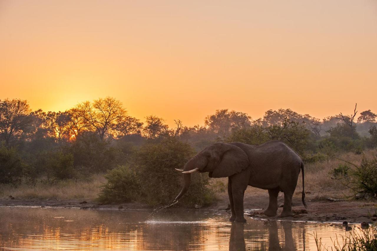 Pondoro Game Lodge Заповедник Балуле Экстерьер фото